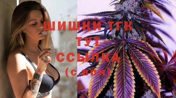 прущие грибы Ростов