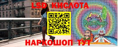 амфетамин Гатчина
