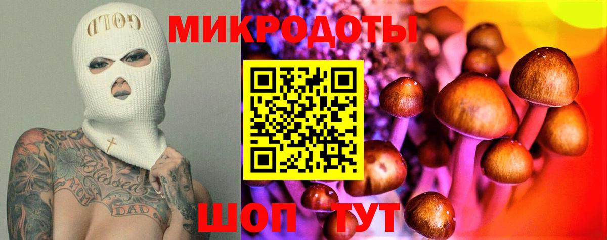 Канаш  Галлюциногенные грибы MAGIC MUSHROOMS  Вход с VPN 